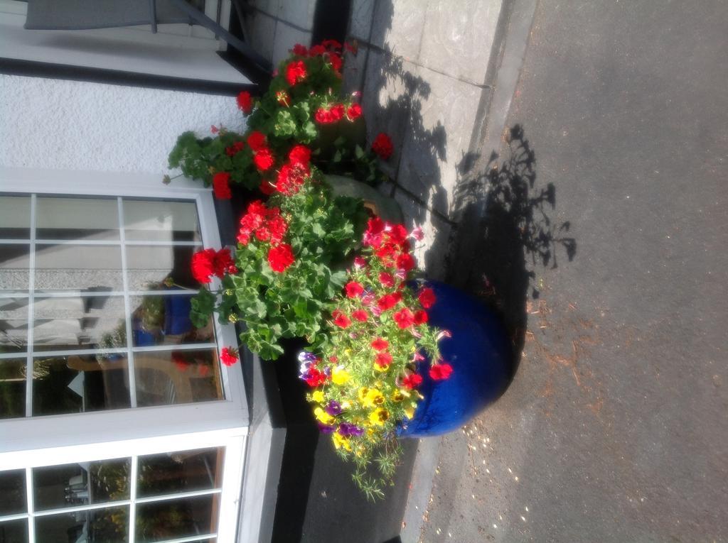 Innisfree B&B Bunratty Exterior foto